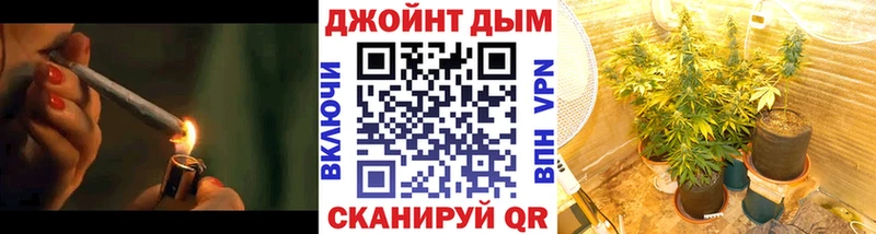 дарнет шоп  Лодейное Поле  Шишки марихуана сатива 